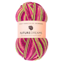 West Yorkshire Spinners Future Dreams ColourLab Dk