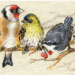 Birds on the Branch - Riolis Cross Stitch Kit