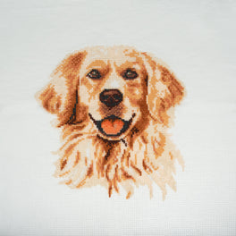 Trimits Counted Cross Stitch Kit, Large: Golden Lab Retriever