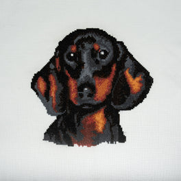Trimits Counted Cross Stitch Kit, Large: Dachshund