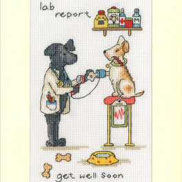 Lab Report - Bothy Threads Greeting Card Cross Stitch Kit