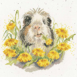 Dandy Day - Bothy Threads Cross Stitch Kit