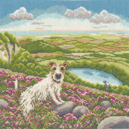 One Vet And His Dog- Bothy Threads Cross Stitch Kit