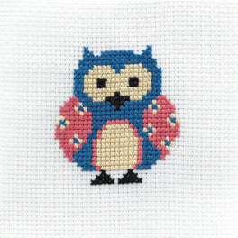 Anchor 1st Kit - Zoe The Owl