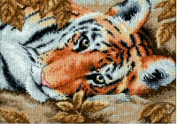 Beguiling Tiger