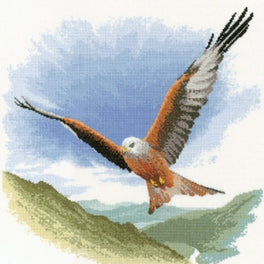 Red Kite in Flight