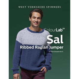 Sal Ribbed Raglan Jumper in West Yorkshire Spinners ColourLab - Digital Version DPB0148