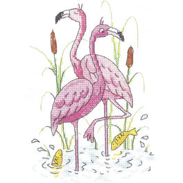 Flamingos