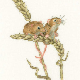 Harvest Mice