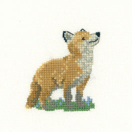 Fox Cub