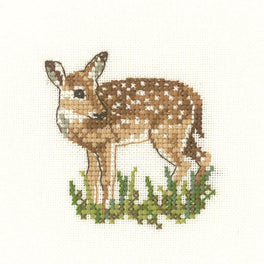 Fawn