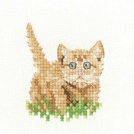 Little Friends - Ginger Kitten