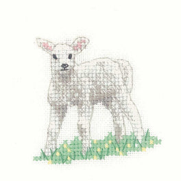 Lamb