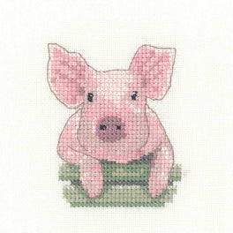 Pig