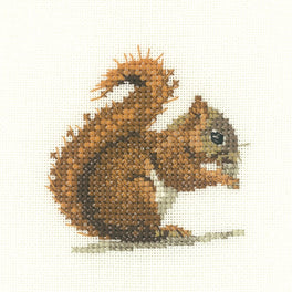 Red Squirrel