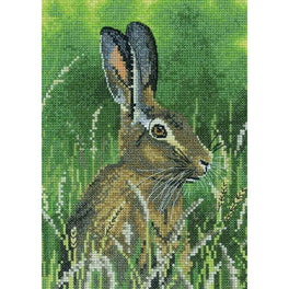 Hare