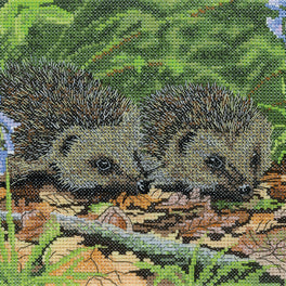 Hedgehogs in Spring Cross stitch Kit - Nigel Artingstall