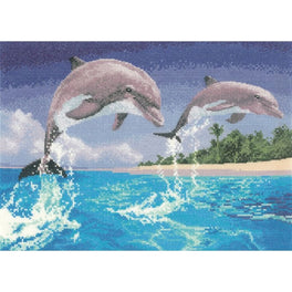Dolphins