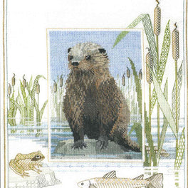 Wildlife - Otter